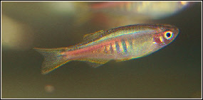 wp47ae2fd4_0f.jpg